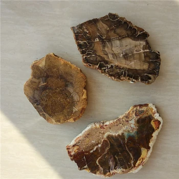 DHX SW 3 бр. рядко красива полирана плоча от вкаменената дърво от Мадагаскар, натурална тук има вкаменена дърво, минерален образец, подарък колекция