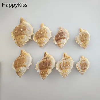 HappyKiss 10 бр. естествени играчки за завеси са напълно подходящи за сватби или асиметрия вечерни миди мивки натурални изделия на морска звезда